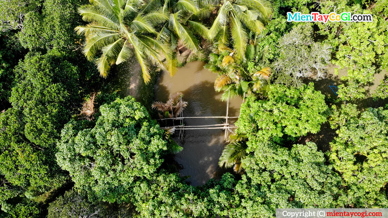 Monkey bridge in Can Tho fruit garden