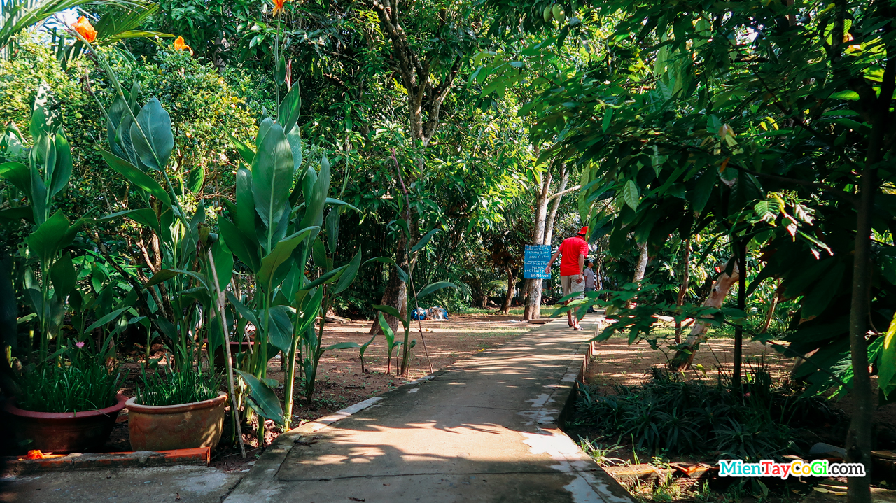 The way inside to visit Ba Cong orchard