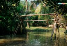 Ba Cong Orchard in Can Tho | What’s in there | How To Go From A-Z Cầu khỉ miền Tây ở nhà vườn Ba Cống