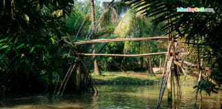 Ba Cong Orchard in Can Tho | What’s in there | How To Go From A-Z Cầu khỉ miền Tây ở nhà vườn Ba Cống