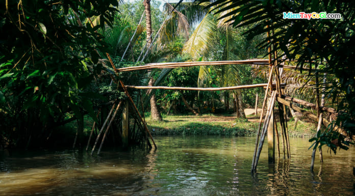 Vườn trái cây Ba Cống Cần Thơ | Có Gì | Cách Đi A-Z Cầu khỉ miền Tây ở nhà vườn Ba Cống