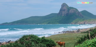 Bãi Nhát và Đỉnh Tình Yêu ở Côn Đảo | Hình ảnh | Cách đi du lịch A-Z Bãi Nhát nhìn ra Đỉnh Tình Yêu