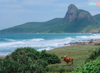 Bãi Nhát và Đỉnh Tình Yêu ở Côn Đảo | Hình ảnh | Cách đi du lịch A-Z Bãi Nhát nhìn ra Đỉnh Tình Yêu