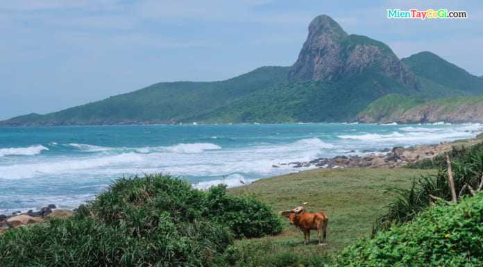 Bãi Nhát và Đỉnh Tình Yêu ở Côn Đảo | Hình ảnh | Cách đi du lịch A-Z Bãi Nhát nhìn ra Đỉnh Tình Yêu