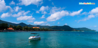 Cầu Tàu 914 Côn Đảo | Lịch sử xương máu của 1 di tích du lịch nổi tiếng Cảnh biển ở Cầu tàu 914