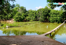 May Island | Can Tho Traveling | What is available | All about it A-Z Khu du lịch miệt vườn Tám Trong Cần Thơ