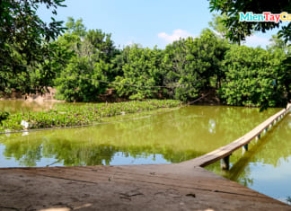 Cù Lao Mây ở đâu | Khu du lịch này có gì chơi | Tất tần tật về nó Khu du lịch miệt vườn Tám Trong Cần Thơ