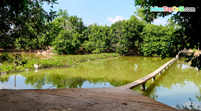 Cù Lao Mây ở đâu | Khu du lịch này có gì chơi | Tất tần tật về nó Khu du lịch miệt vườn Tám Trong Cần Thơ