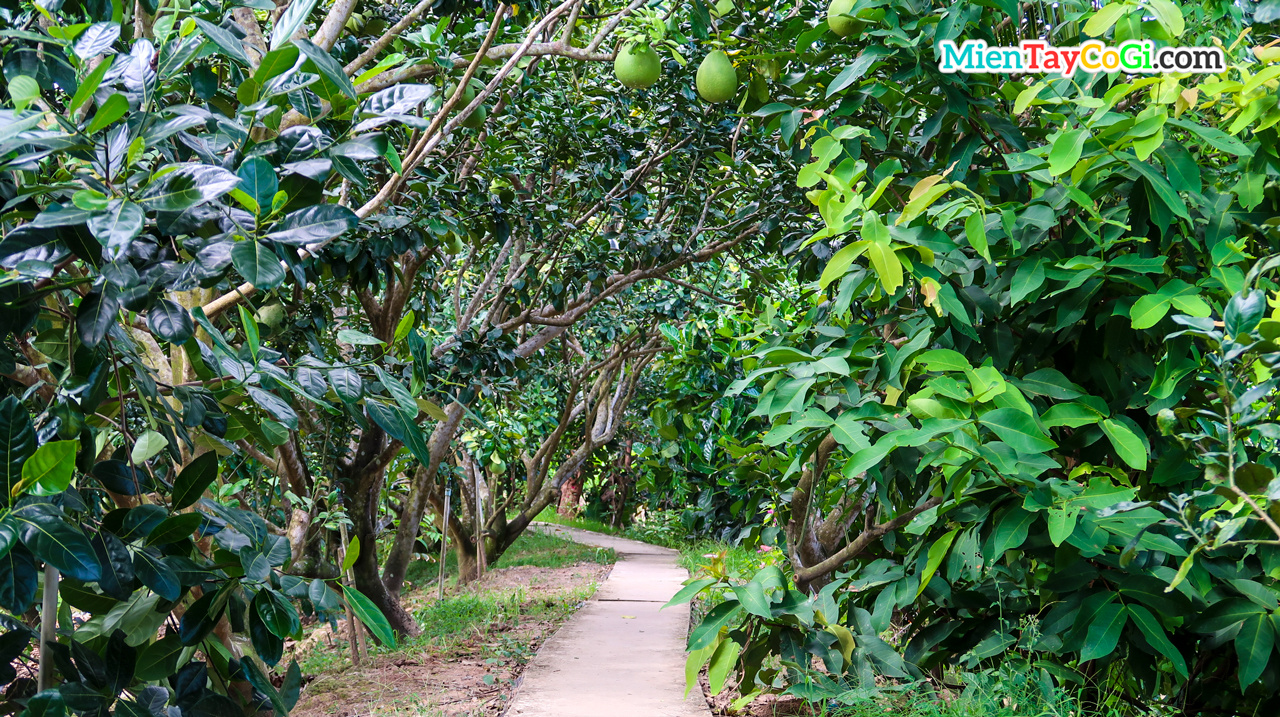 Tam Trong garden entrance