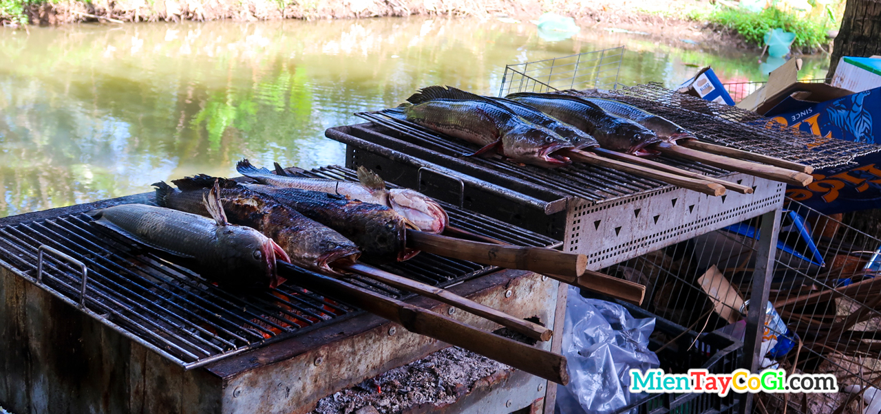 Grilled snakehead fish is a specialty in Son Islet