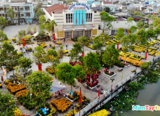 Chợ hoa Tết miền Tây | Đón xuân rực rỡ ở Long Mỹ Hậu Giang Chợ hoa xuân Long Mỹ Hậu Giang nhìn từ trên cao