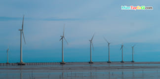 Cánh đồng điện gió Bạc Liêu | Cách đi | Giá vé | Thông tin CẦN BIẾT Cánh đồng điện gió Bạc Liêu