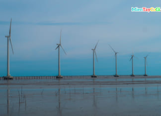 Cánh đồng điện gió Bạc Liêu | Cách đi | Giá vé | Thông tin CẦN BIẾT Cánh đồng điện gió Bạc Liêu