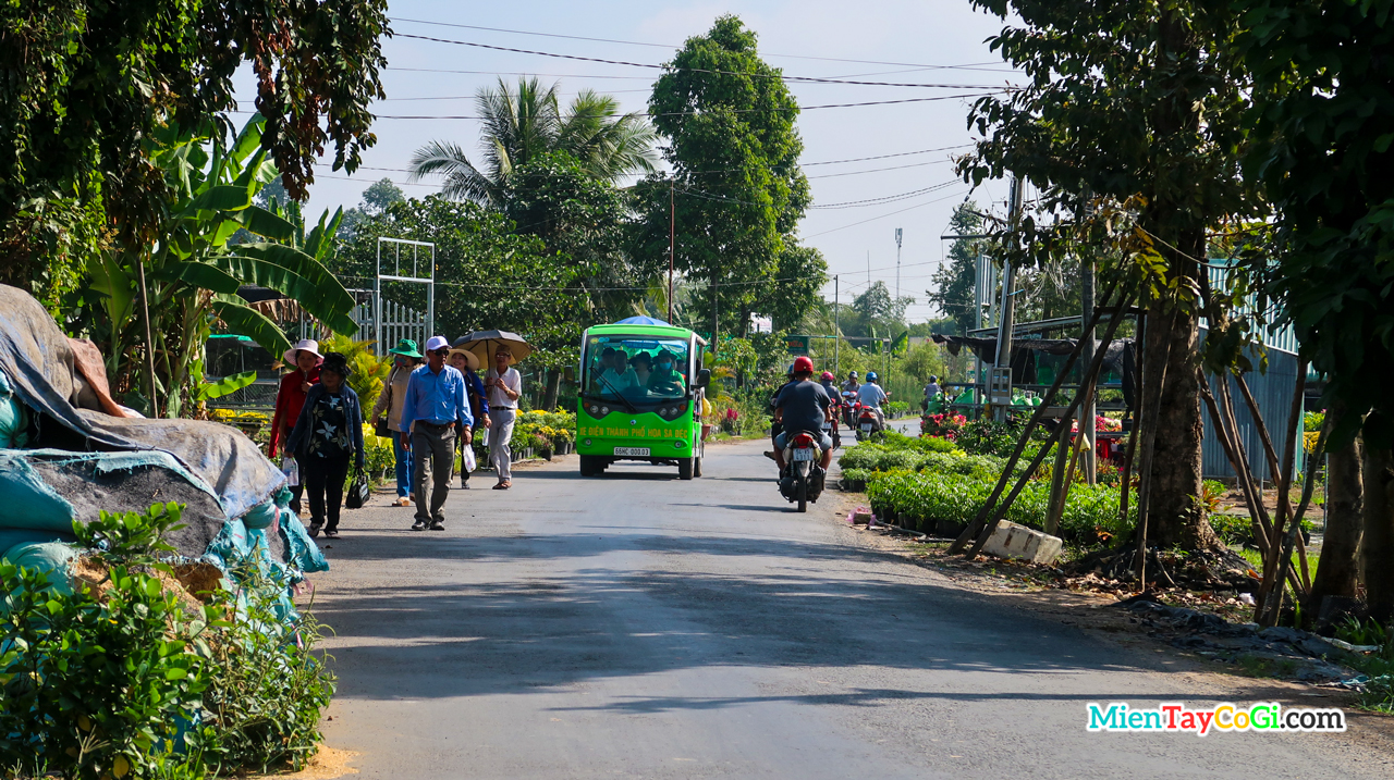 Khách du lịch tham quan làng hoa bằng nhiều phương tiện