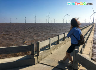 Top 14 Địa Điểm Du lịch Bạc Liêu hấp dẫn nhất 2022 Khách tham quan check in cánh đồng quạt gió Bạc Liêu