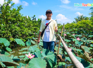 Địa điểm du lịch miền Tây dịp Tết Nguyên Đán 2021 | Nên đi tỉnh nào đẹp Khách du lịch hào hứng tham quan ao sen Cồn Sơn