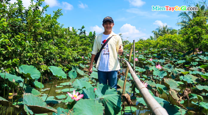 Địa điểm du lịch miền Tây dịp Tết Nguyên Đán 2021 | Nên đi tỉnh nào đẹp Khách du lịch hào hứng tham quan ao sen Cồn Sơn