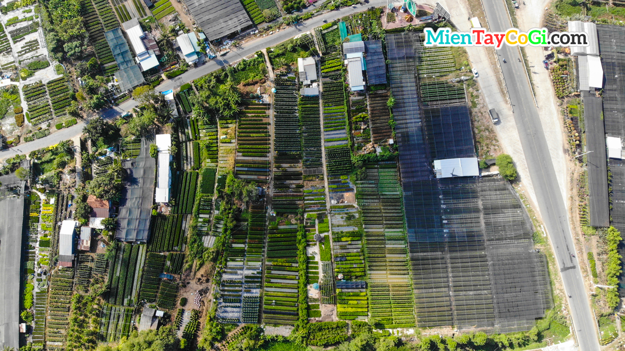 Sa Dec flower village viewed from above