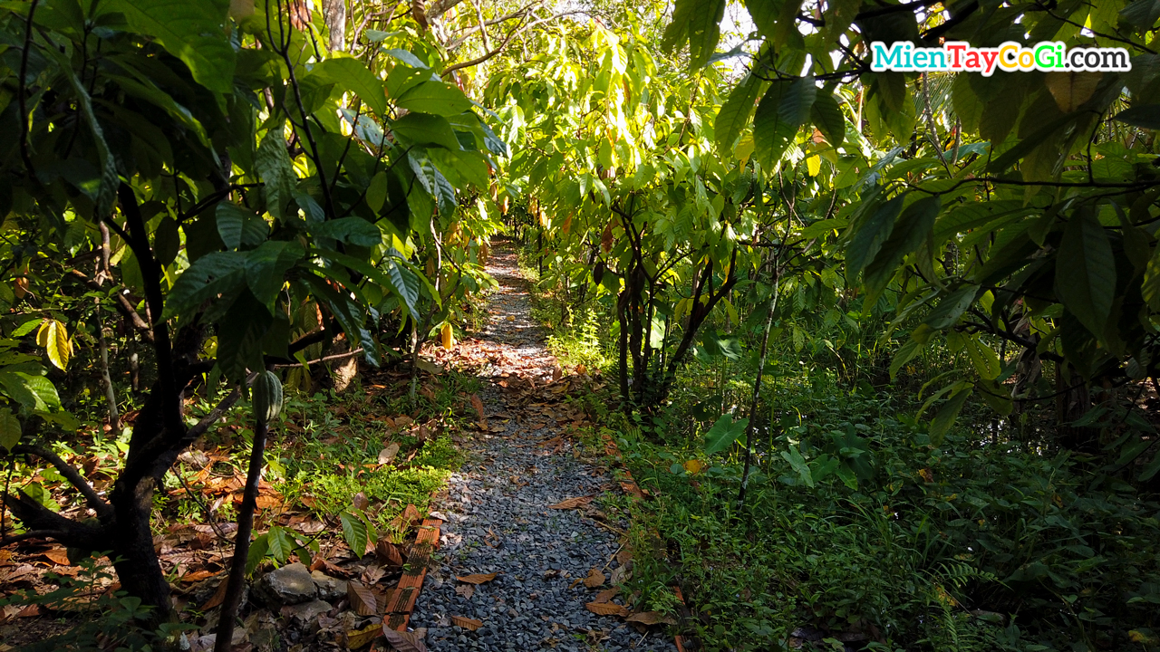 Entrance to visit Muoi Cuong cocoa farm