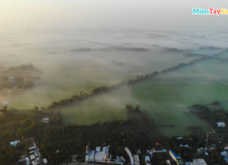 Sương mù bao phủ Hậu Giang ngày đầu năm | Ảnh flycam như Đà Lạt Sương mờ phủ trên các cánh đồng ở Hậu Giang