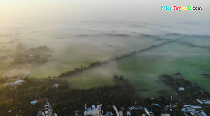 Sương mù bao phủ Hậu Giang ngày đầu năm | Ảnh flycam như Đà Lạt Sương mờ phủ trên các cánh đồng ở Hậu Giang