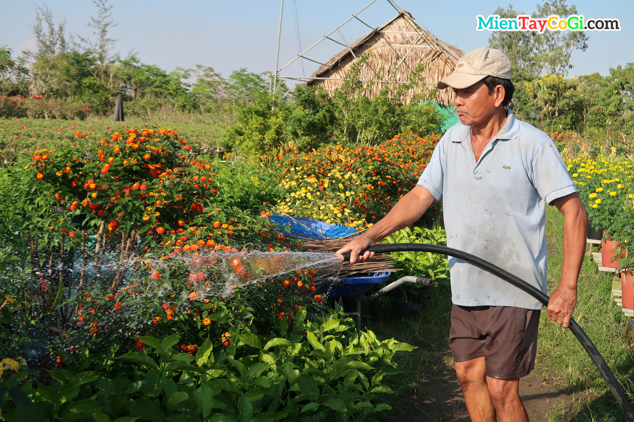 Trồng hoa tưới cây ở Làng hoa Sa Đéc