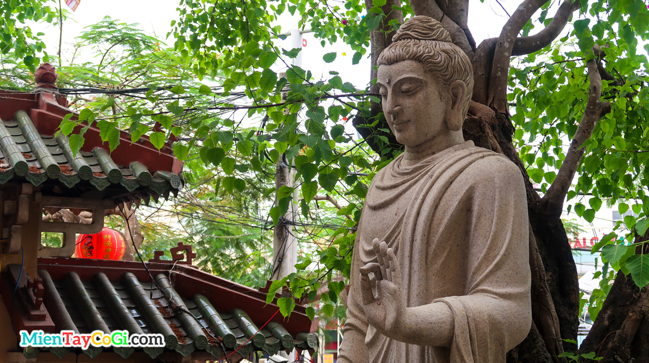Tượng Phật Thích Ca dưới gốc cây cổ thụ chùa Phật Học