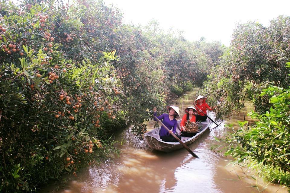 Bơi xuồng tham quan vườn trái cây ở KDL Mỹ Khánh