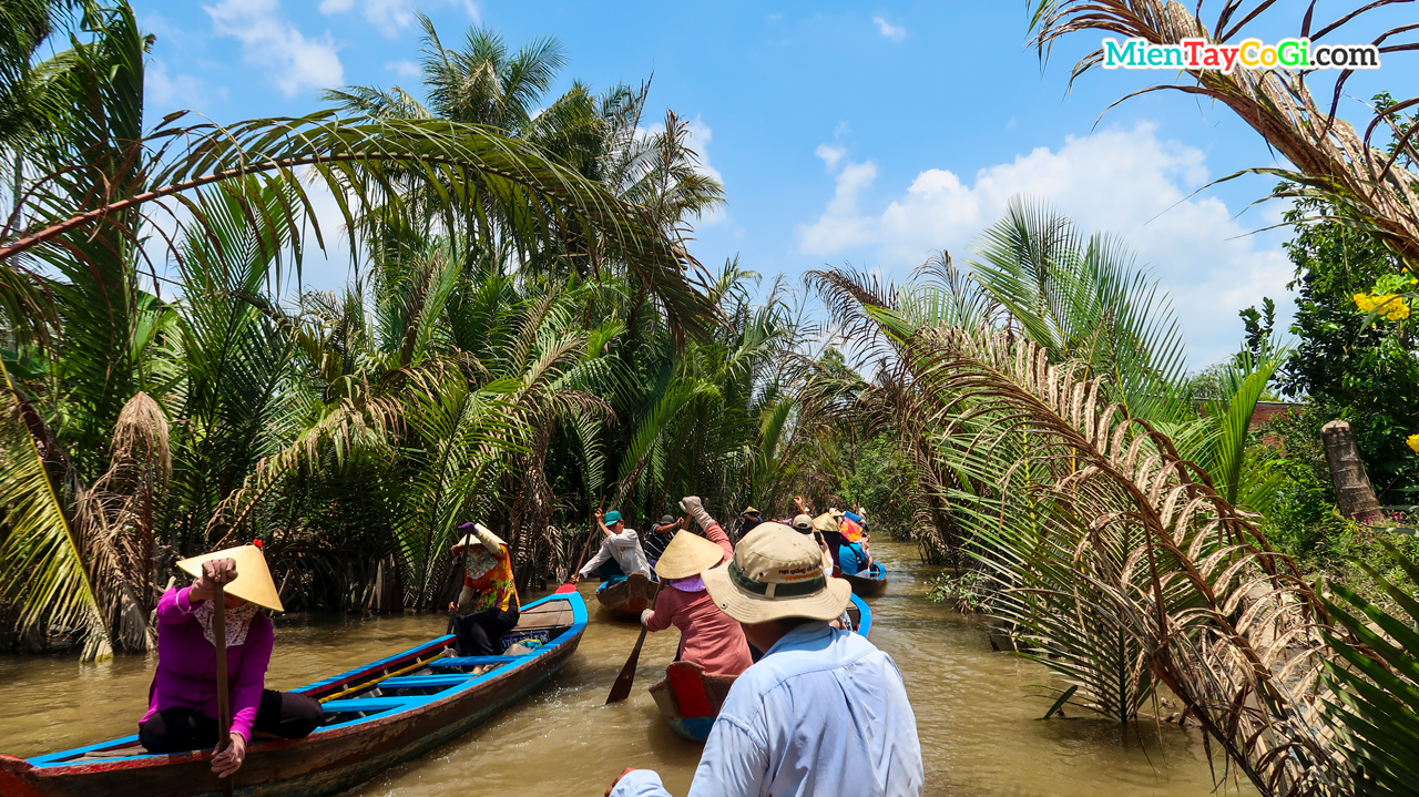 Dozens of people rowing three-leaf canoes in Con Thoi Son