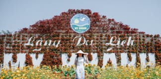 Giá vé khu du lịch Mỹ Khánh 2020 ở Cần Thơ | Trong làng có gì | Cách đi Khách du lịch chụp hình tại vườn hoa KDL Mỹ Khánh