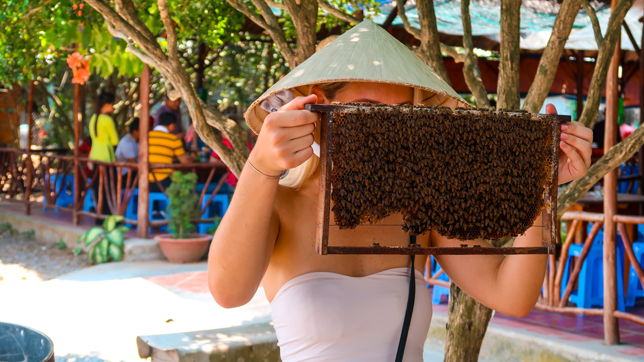 Khách nước ngoài cũng check in cùng tổ ong
