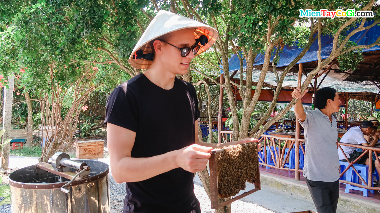 Khách Tây hào hứng chụp hình với tổ ong ở Cồn Thới Sơn