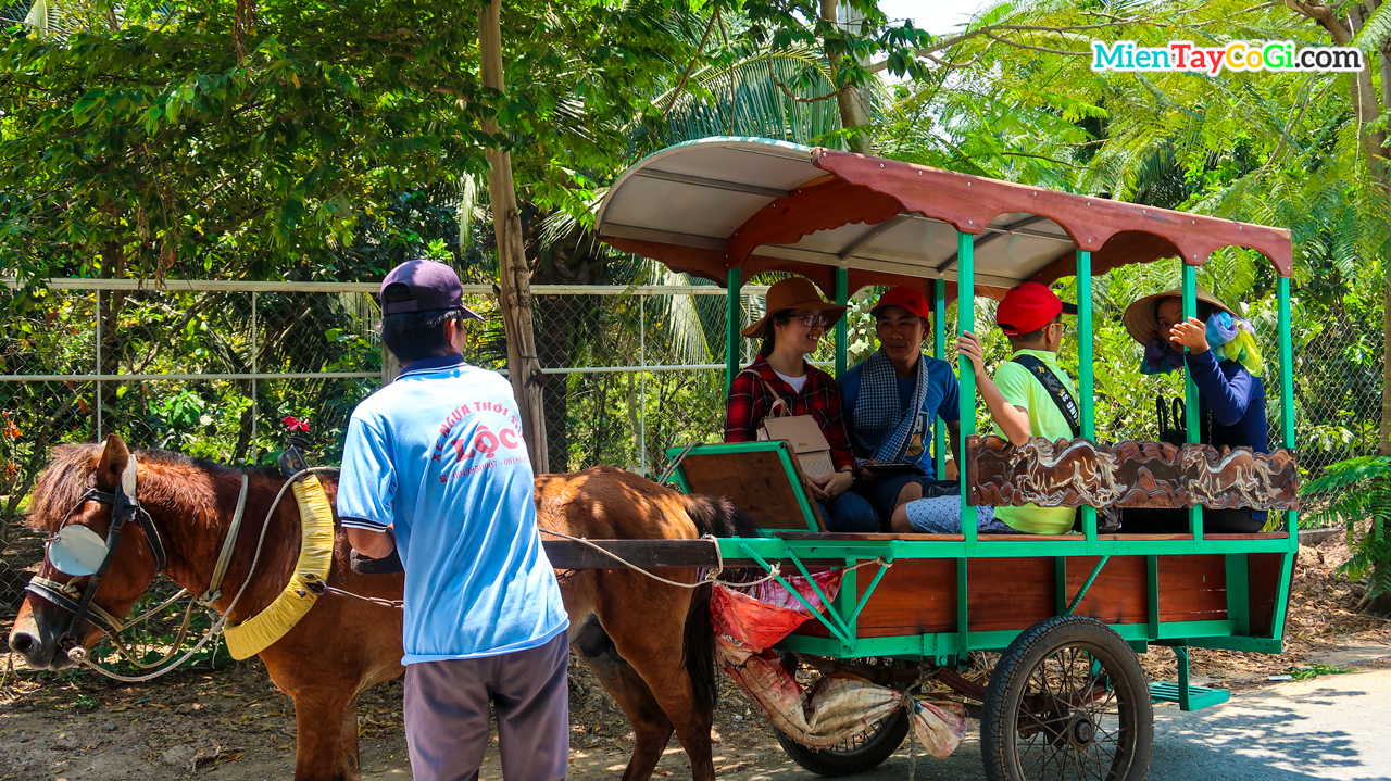 Ride a horse cart on the shady green village road