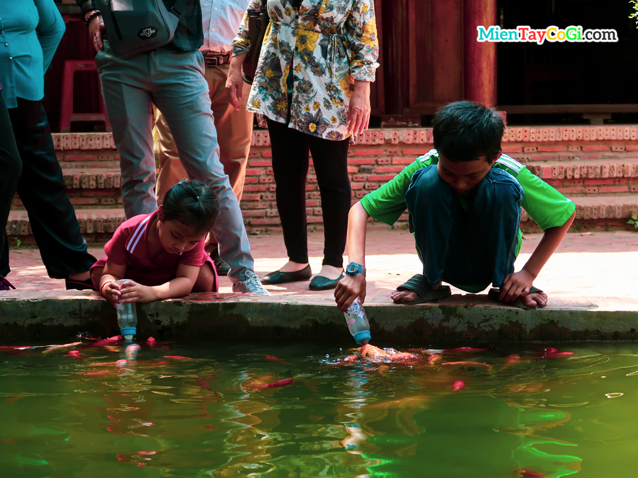 The children are attentively feeding the fish with a bottle