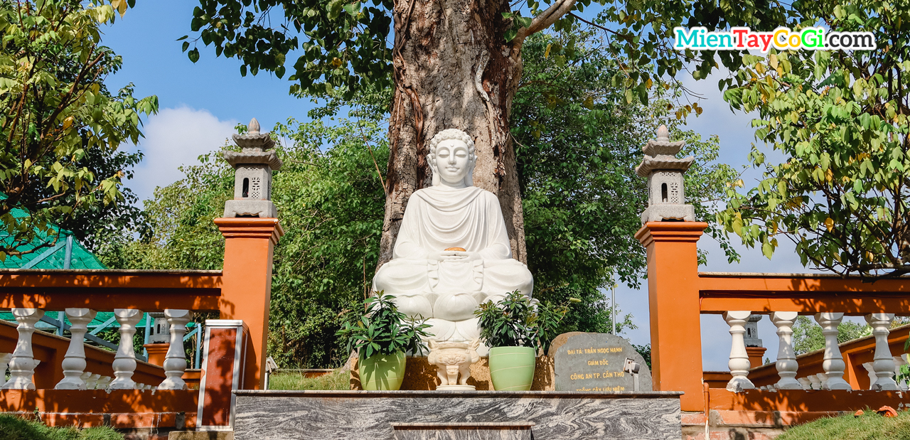 Tượng Phật ngồi dưới gốc bồ đề