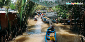 Du lịch Cồn Phụng Cồn Thới Sơn tự túc | Kinh nghiệm đi từ A-Z Xuồng ba lá ở Cồn Thới Sơn