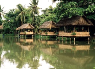 Khu du lịch Lung Cột Cầu Cần Thơ | Review| Đường đi | Giá vé Khu du lịch Lung Cột Cầu