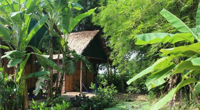 Review Green Village Mekong Cần Thơ homestay | Đường Đi | Bảng Giá Khuôn viên miệt vườn