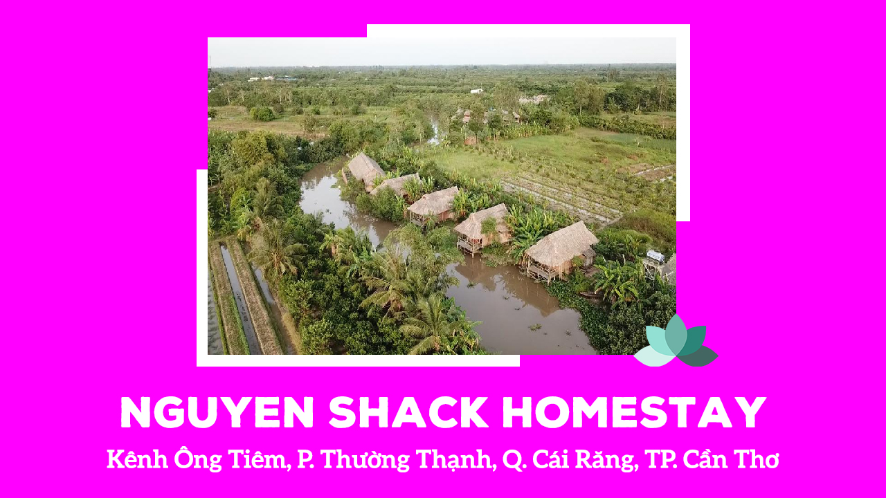 Nguyen Shack homestay
