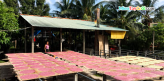 Hủ Tiếu Sáu Hoài Cần Thơ | Món Pizza trứ danh | Hướng dẫn du lịch Phơi hủ tiếu ở lò Sáu Hoài