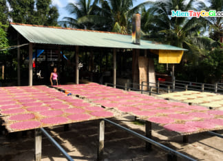 Hủ Tiếu Sáu Hoài Cần Thơ | Món Pizza trứ danh | Hướng dẫn du lịch Phơi hủ tiếu ở lò Sáu Hoài