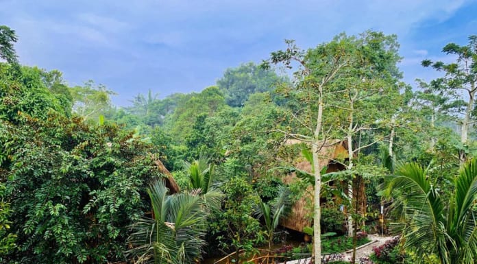 Review Bamboo Eco Village Cần Thơ | Đường đi | Bảng giá | Phòng View vườn Bamboo Eco Village Cần Thơ