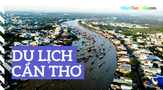 Du lịch Cần Thơ | Kinh nghiệm đi tự túc từ A-Z | Có gì vui | Điểm nào đẹp Du lịch Cần Thơ và kinh nghiệm cần biết