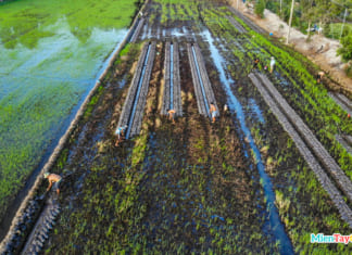 Hình ảnh nông dân miền Tây đắp ruộng Flycam | Chuẩn bị trồng lúa Đắp đất ruộng miền Tây