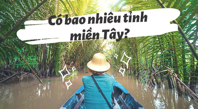 Có bao nhiêu tỉnh thành miền Tây? Danh sách và đặc trưng của ĐBSCL Có bao nhiêu tỉnh thành miền Tây