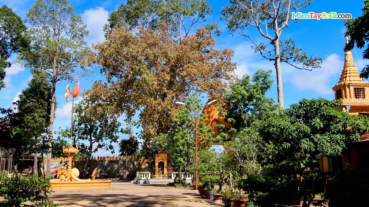 Khuôn viên xanh mát rợp bóng cây ở chùa Khmer cổ nhất Cần Thơ