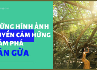 Top 7 hình ảnh truyền cảm hứng du lịch Giàn Gừa Cần Thơ | 150 năm tuổi Những hình ảnh truyền cảm hứng khám phá Giàn Gừa Cần Thơ