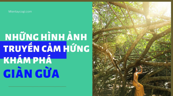 Top 7 hình ảnh truyền cảm hứng du lịch Giàn Gừa Cần Thơ | 150 năm tuổi Những hình ảnh truyền cảm hứng khám phá Giàn Gừa Cần Thơ