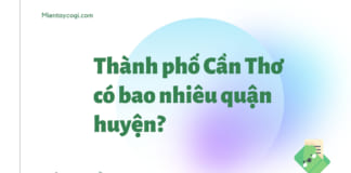 Cần Thơ có bao nhiêu quận huyện | Chi tiết các đơn vị hành chính Thành phố Cần Thơ có bao nhiêu quận huyện