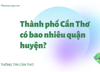 Cần Thơ có bao nhiêu quận huyện | Chi tiết các đơn vị hành chính Thành phố Cần Thơ có bao nhiêu quận huyện